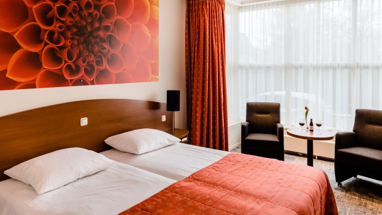 Comfort plus kamer Twin - Hof van Gelre Hotel by Flow