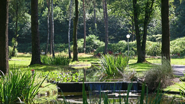 Teich - Bospark Markelo