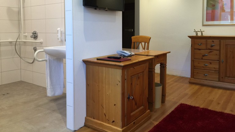 Standaardkamer - Arthotel ANA Panorama