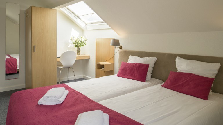 Standaardkamer - Hotel Restaurant de Loenermark