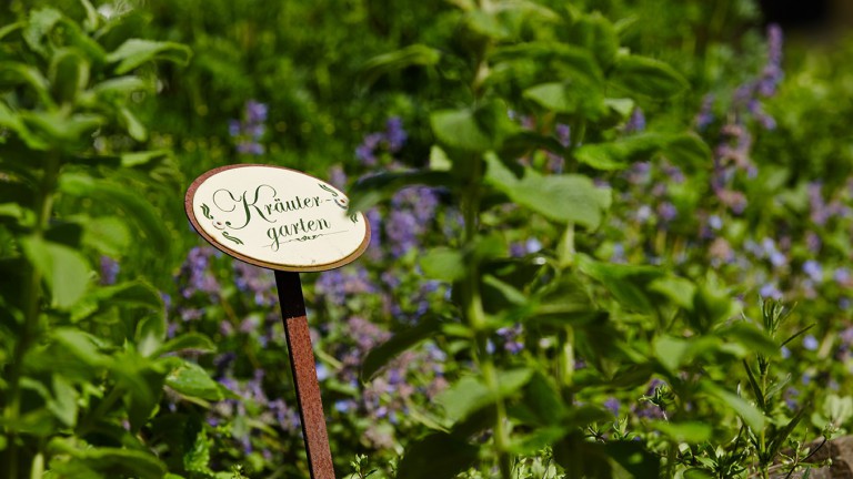 Tuin - Hotel FIT