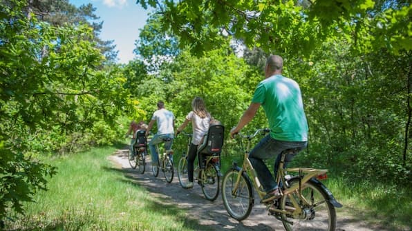 Omgeving - Roompot Vakantiepark de Katjeskelder