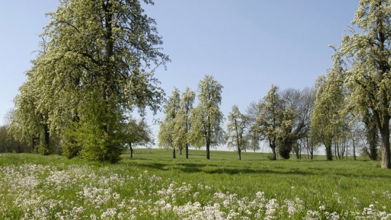 Omgeving - Hotel Blanckthys