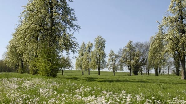 Omgeving - Hotel Blanckthys Omgeving - Hotel Blanckthys