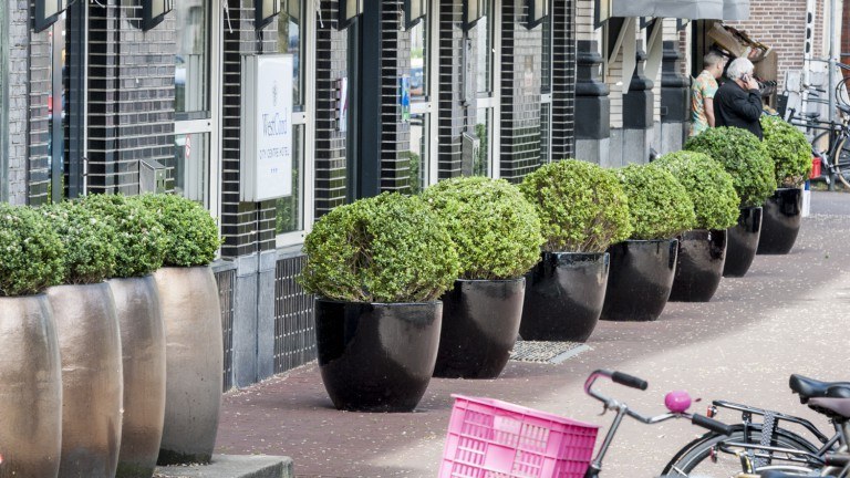 Westcord Stadt Zentrum Amsterdam - Westcord Stadt Zentrum Amsterdam
