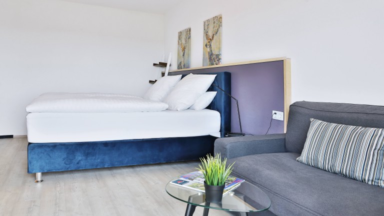 Standaardkamer - Hotel Restaurant Sonnenschein