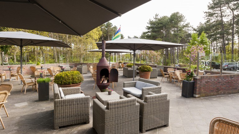 Terras