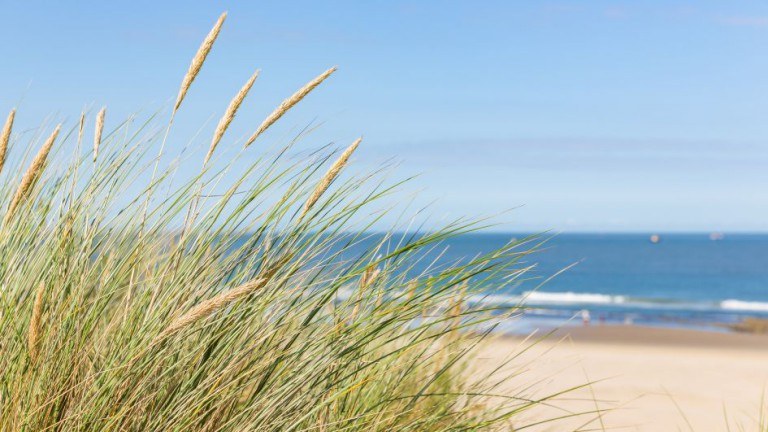 Strand - Landal Strandpark Zeeland