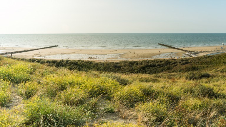 Omgeving - Landal Résidence Wijngaerde