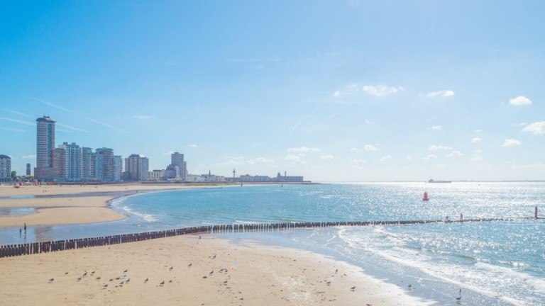 Strand - Landal Strandpark Zeeland