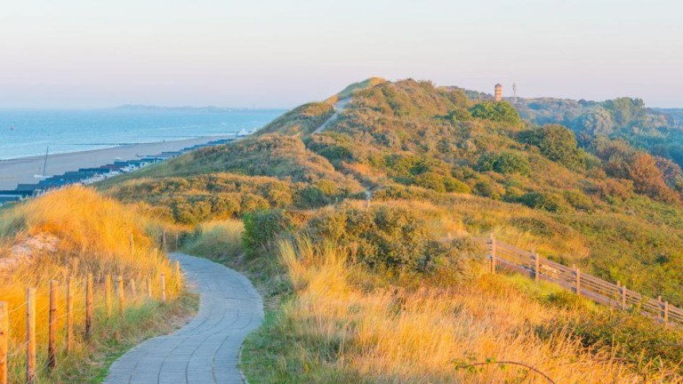 Omgeving - Landal Strandpark Zeeland