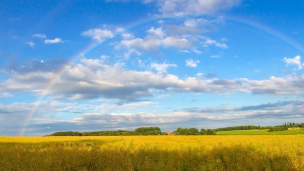 Münsterland