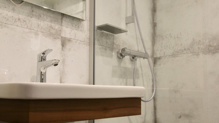 Badkamer - Het Wapen van Alblasserdam