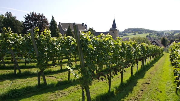 Umgebung - MERICI HOTEL Sittard Umgebung - MERICI HOTEL Sittard