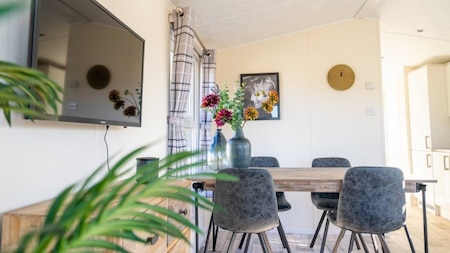 Wohnzimmer - EuroParcs Resort Kaatsheuvel