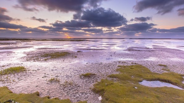 Wadden - Loods Logement