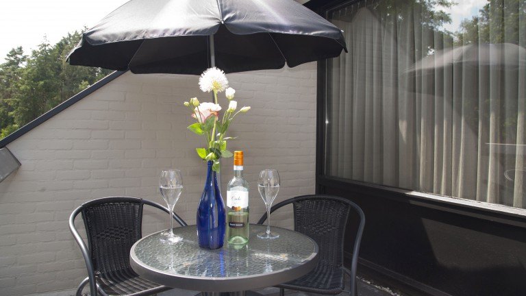 Vide kamer met balkon - Hotel Bosrijk Ruighenrode