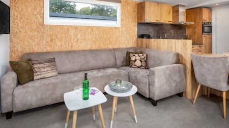 Wohnzimmer - Roompot Vakantiepark Hunzedal