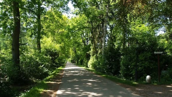 Omgeving - EuroParcs Resort De Utrechtse Heuvelrug Omgeving - EuroParcs Resort De Utrechtse Heuvelrug