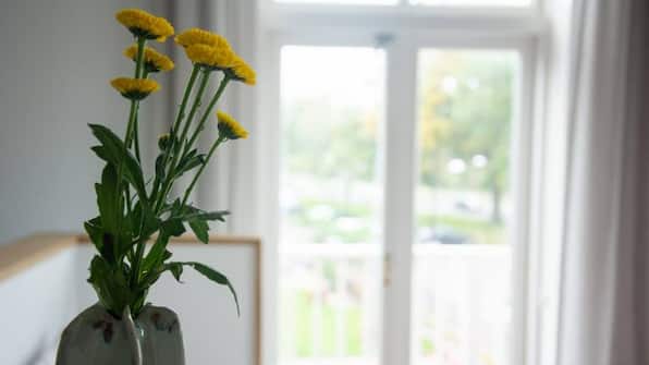 Umani Zimmer - Boetiekhotel Villa Wanrooy