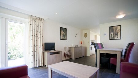 Wohnzimmer - EuroParcs Buitenhuizen