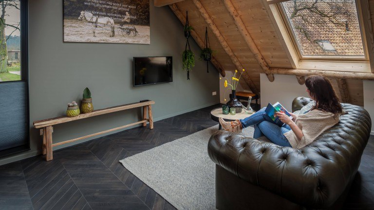 Wilmink kamer - Bed and Breakfast Hoeve Springendal