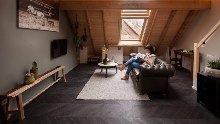 Wilmink kamer - Bed and Breakfast Hoeve Springendal