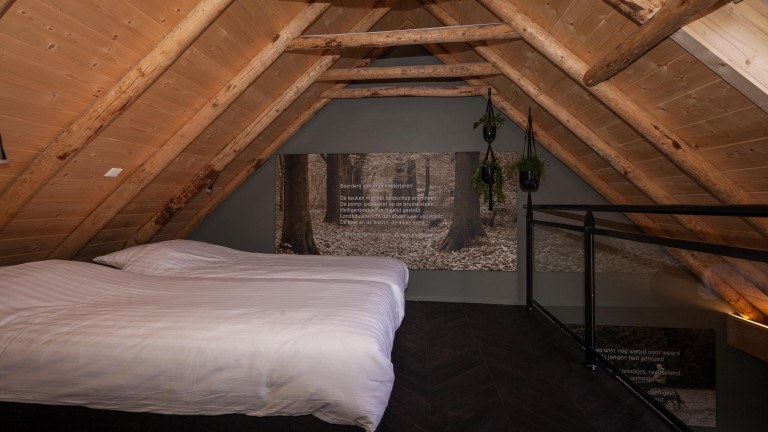 Wilmink kamer - Bed and Breakfast Hoeve Springendal