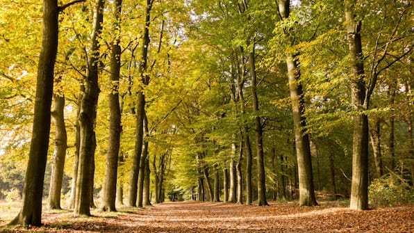 Omgeving - Recreatiedorp de Ossenberg Omgeving - Recreatiedorp de Ossenberg