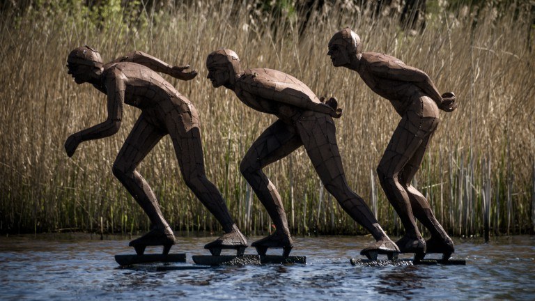 Omgeving - Bungalowpark It Wiid