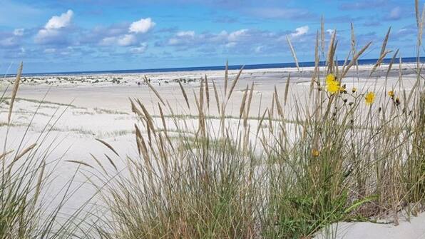 Duinen - Boat en Bike IJsselmeer