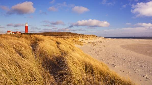 Texel - Boat en bike tours