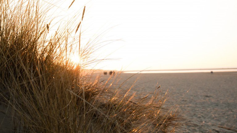 Strand - RCN Vakantiepark Toppershoedje Hotelchalets