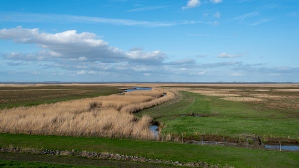 Omgeving - Hotel Termunterzijl