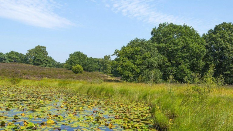 Omgeving - Oostappen Vakantiepark Boschbeek