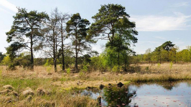 Omgeving - Oostappen Vakantiepark Boschbeek