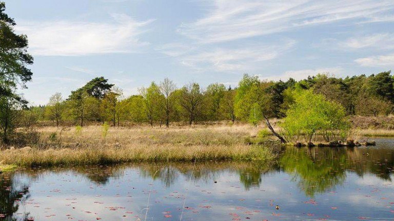 Omgeving - Oostappen Vakantiepark Boschbeek