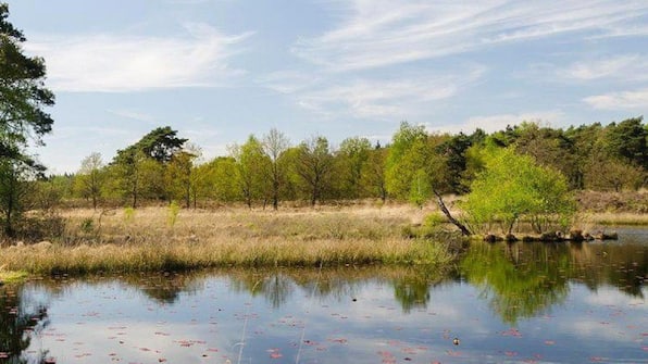 Omgeving - Oostappen Vakantiepark Boschbeek