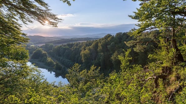 Harz