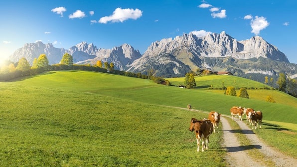 Österreich Österreich