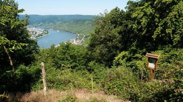 Umwelt - Hotel im Rheintal Umwelt - Hotel im Rheintal