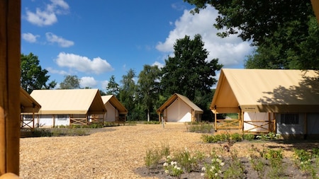 Außenansicht - EuroParcs Resort Kaatsheuvel