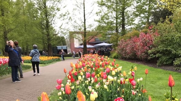 Keukenhof - Vodatent Camping de Hof van Eeden