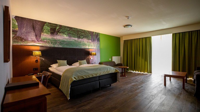 Suite - Boshotel Vlodrop