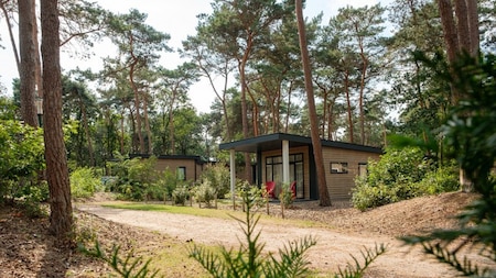 Außenansicht - Vakantiepark de Kleine Belties