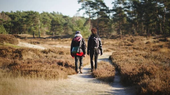 Gehen- Appartementen De Bosrand Gehen - Appartementen De Bosrand