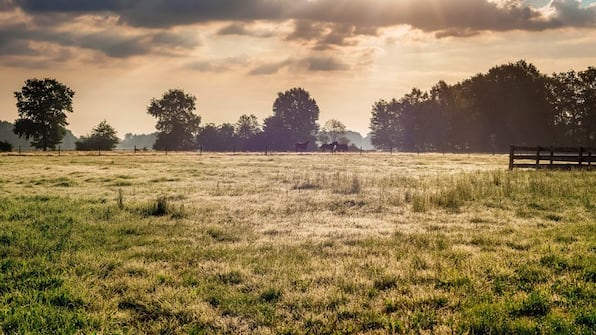 Omgeving - Vodatent Camping de Meibeek