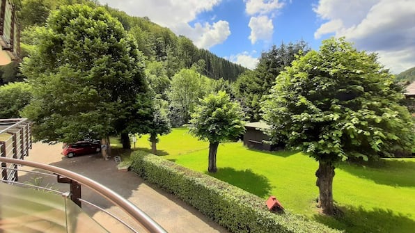 Balkon - Harz Hotel Iris Balkon - Harz Hotel Iris