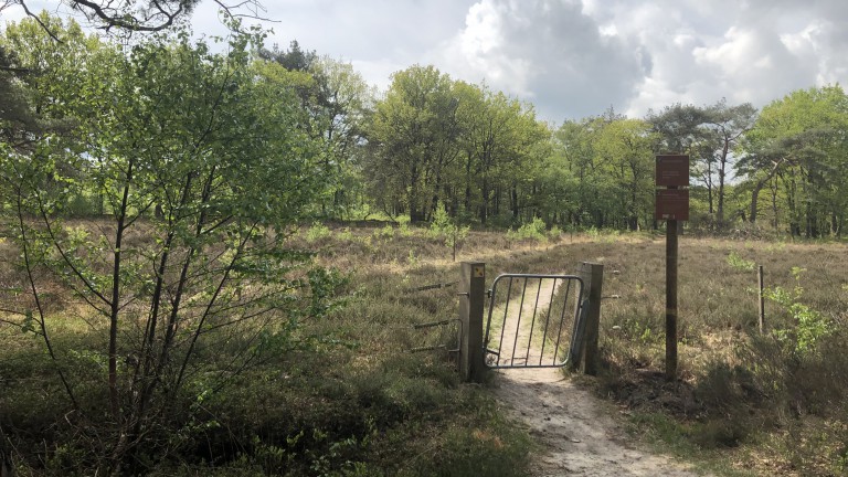 Omgeving - Hotel Onder de Linden