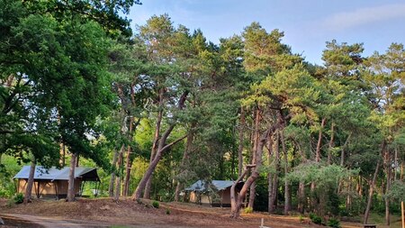 Außenansicht - Vodatent Camping het Horstmannsbos Außenansicht - Vodatent Camping het Horstmannsbos